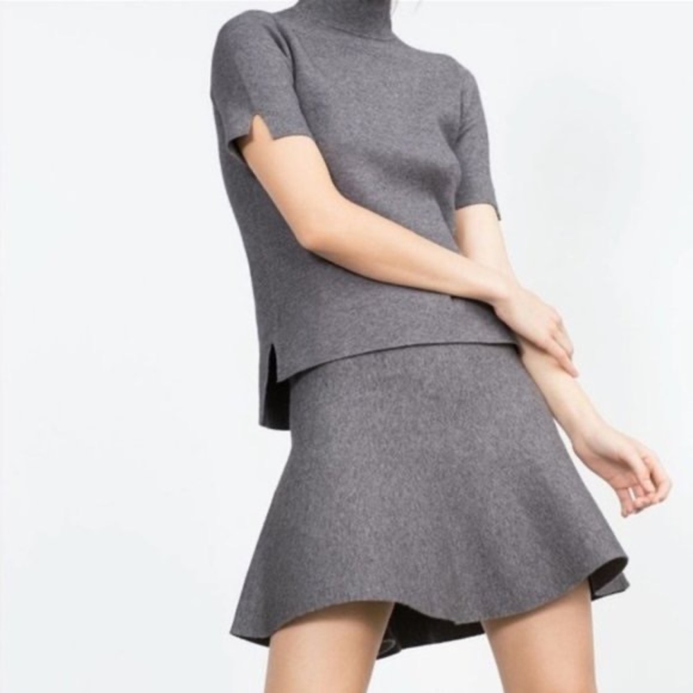 Zara Knit Circle Skater Skirt